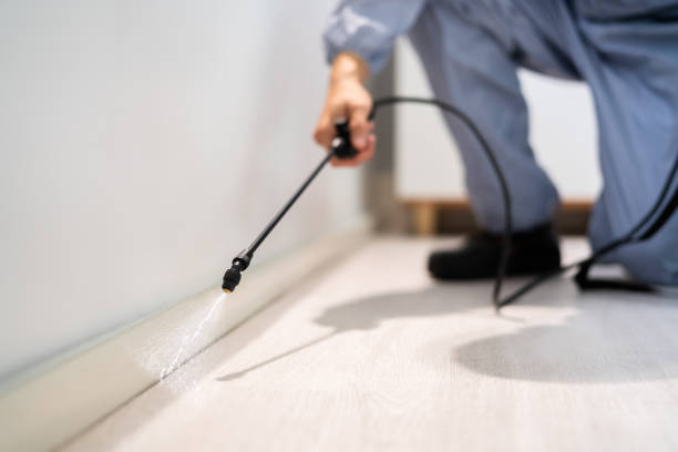 Licensed Fumigation Services service in Kirkland, IL - Nex Pest Control